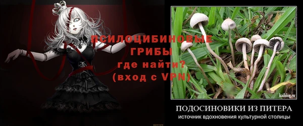 эйфоретик Бронницы