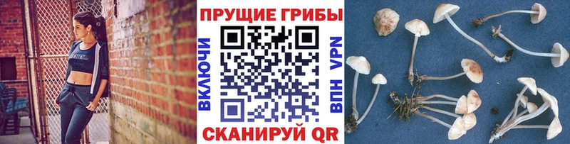 Псилоцибиновые грибы MAGIC MUSHROOMS mega ТОР площадка какой сайт наркотики Ярцево